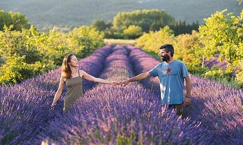 La Provence en Bouteille