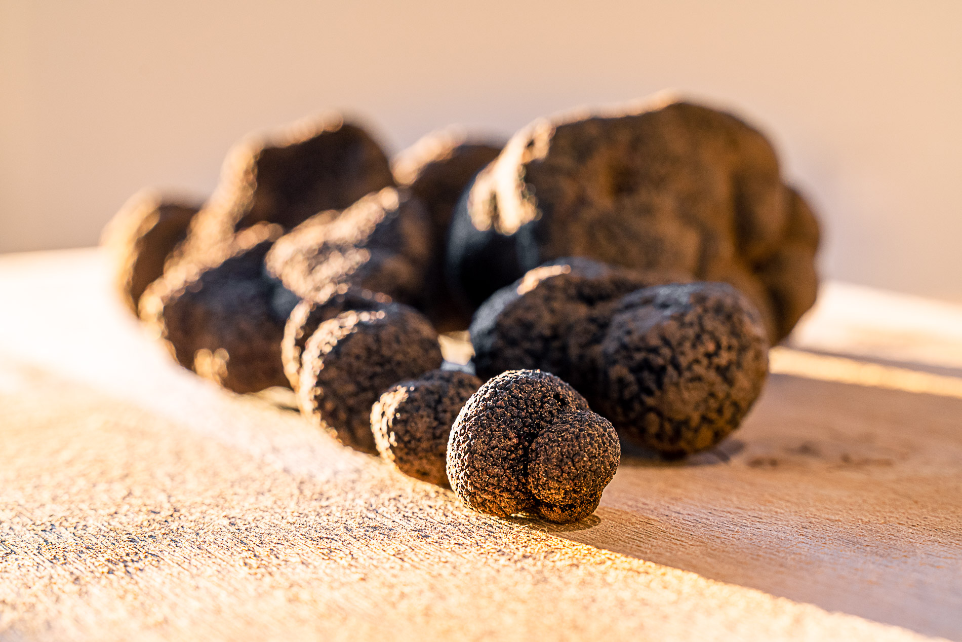 Truffes noires fraîches de La Provence en Bouteille, cultivées dans le sud du Luberon à Cucuron