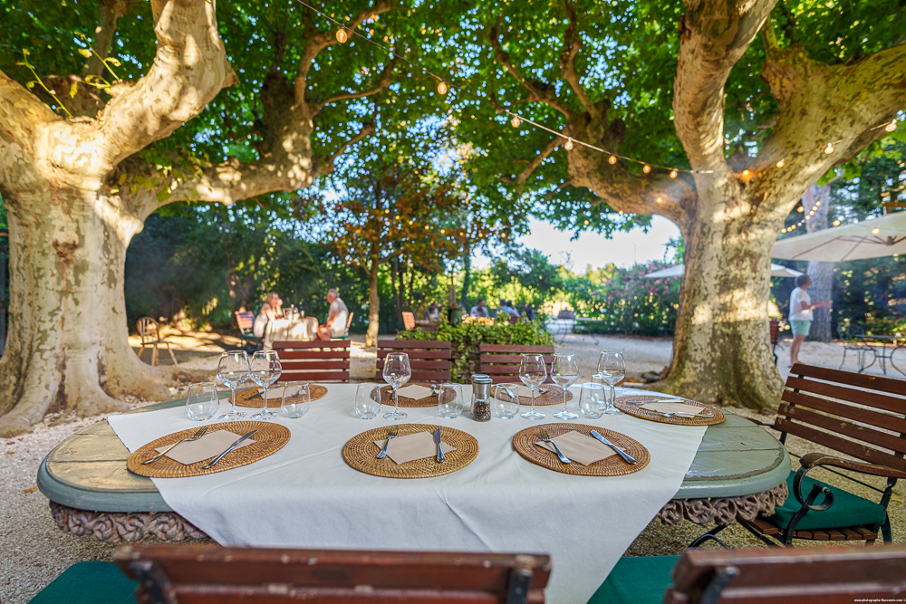 Table dressée sous les platanes au restaurant Sous les Platanes du Domaine des Grès à Lagnes