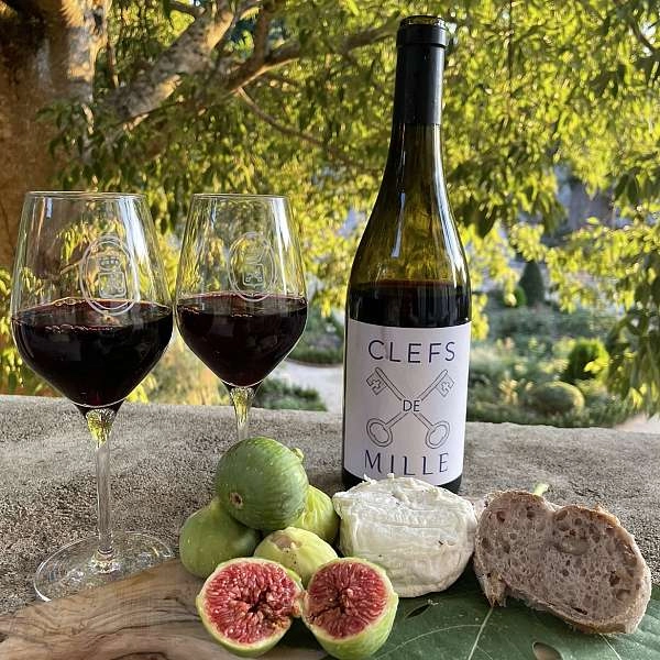 Atelier accord mets & vins
