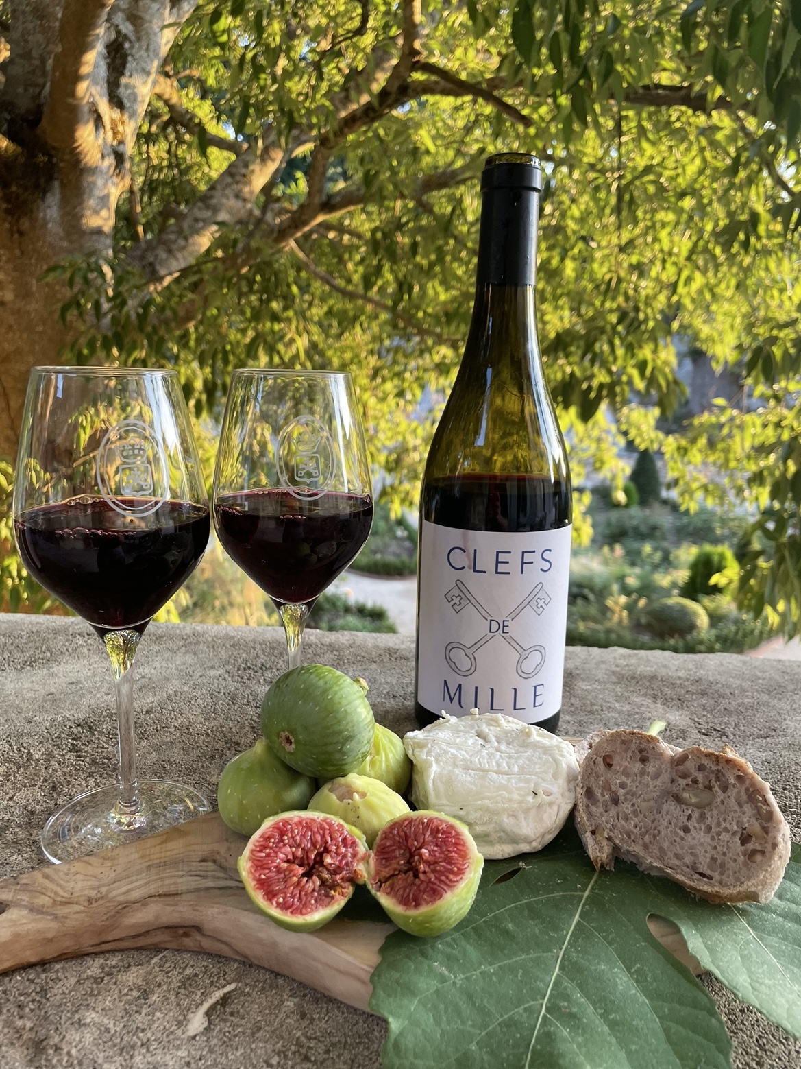 Dégustation de vin rouge au Château de Mille avec figues fraîches, fromage et pain artisanal
