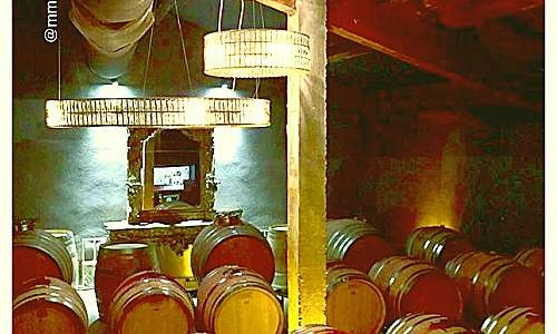 Vue sur le chai à barriques