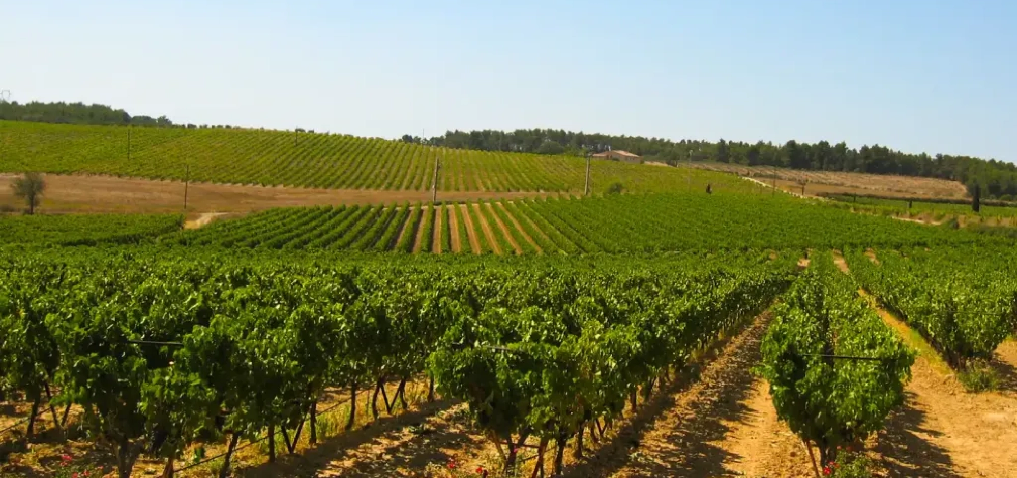 Domaine du Coffre