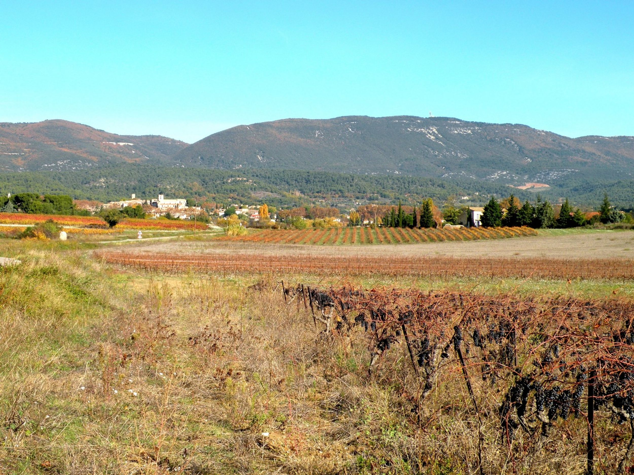 Randonnée de Vaugines à Cucuron
