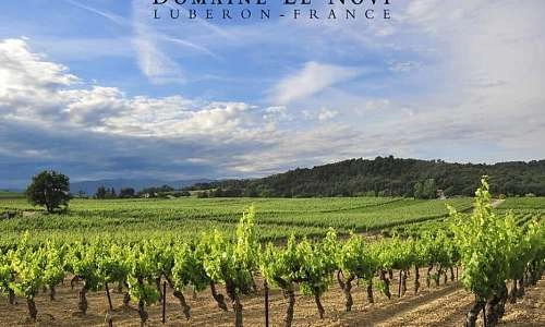 Domaine Le Novi