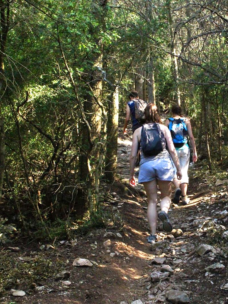 Randonneurs en montée sur un sentier forestier du Petit Luberon