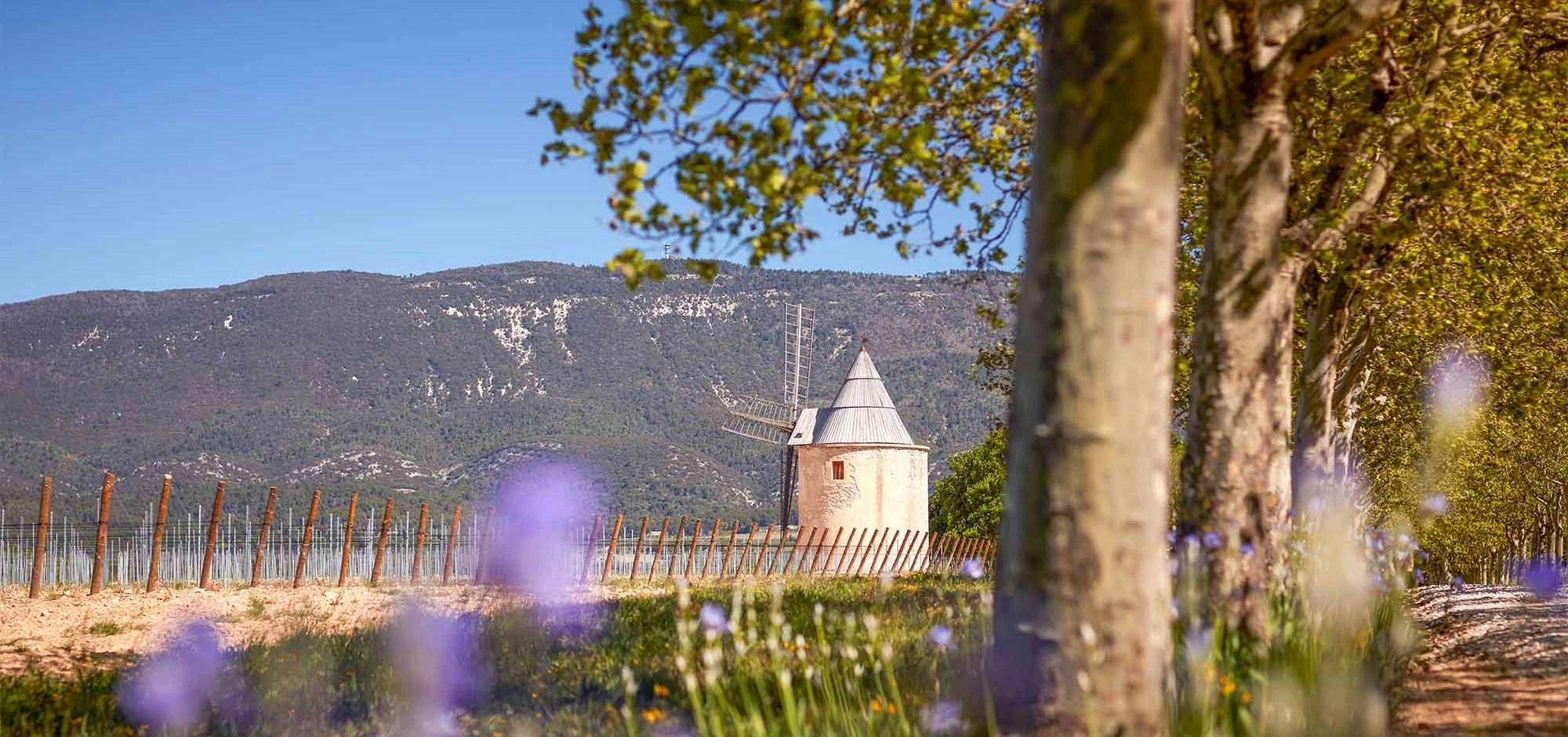 Sunsets Vignerons 2025 au Château de Sannes