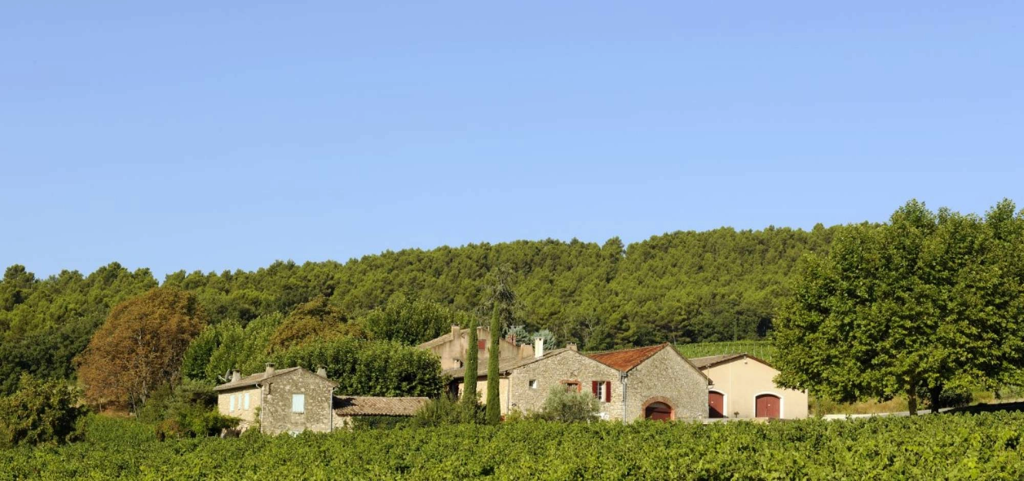 Sunsets Vignerons 2026 au Domaine de la Verrière