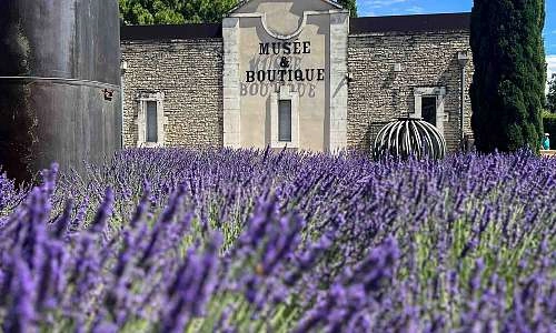 Musée de la lavande.jpg