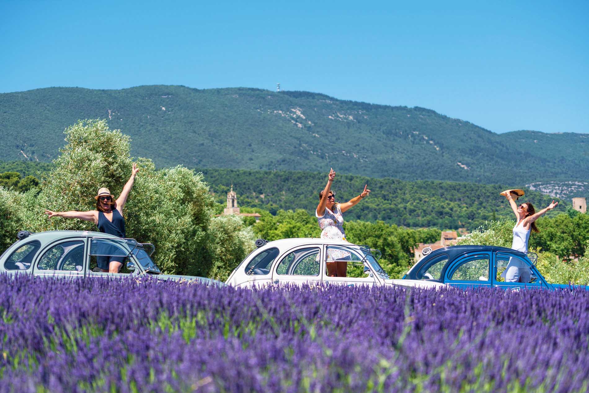 Trois jeunes femmes dans des 2CV au milieu des lavandes en fleurs