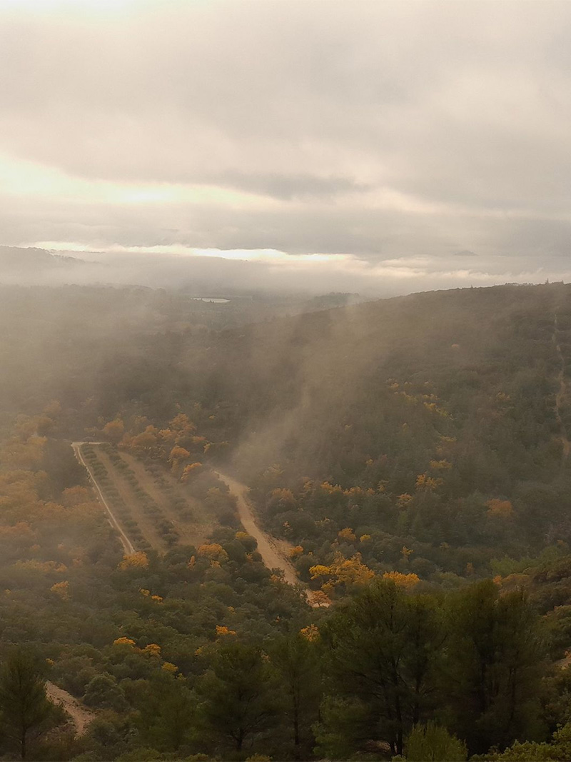 Ambiance mystérieuse dans la brume sur le sentier de la Combe des Cavaliers Chemin dans la brume automnale près de la Combe des Cavaliers