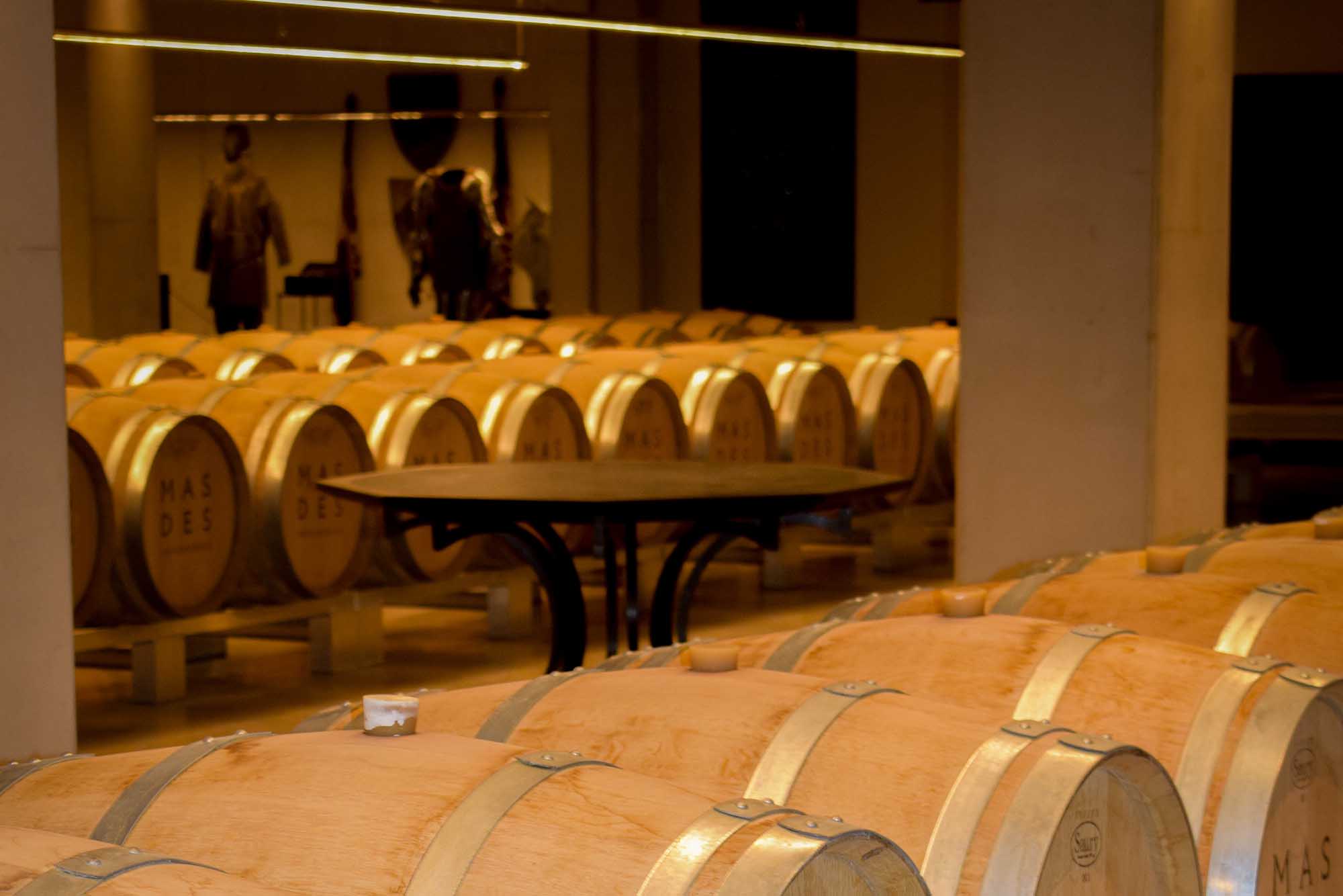 Chai de vinification avec fûts de chêne au Mas des Infermières