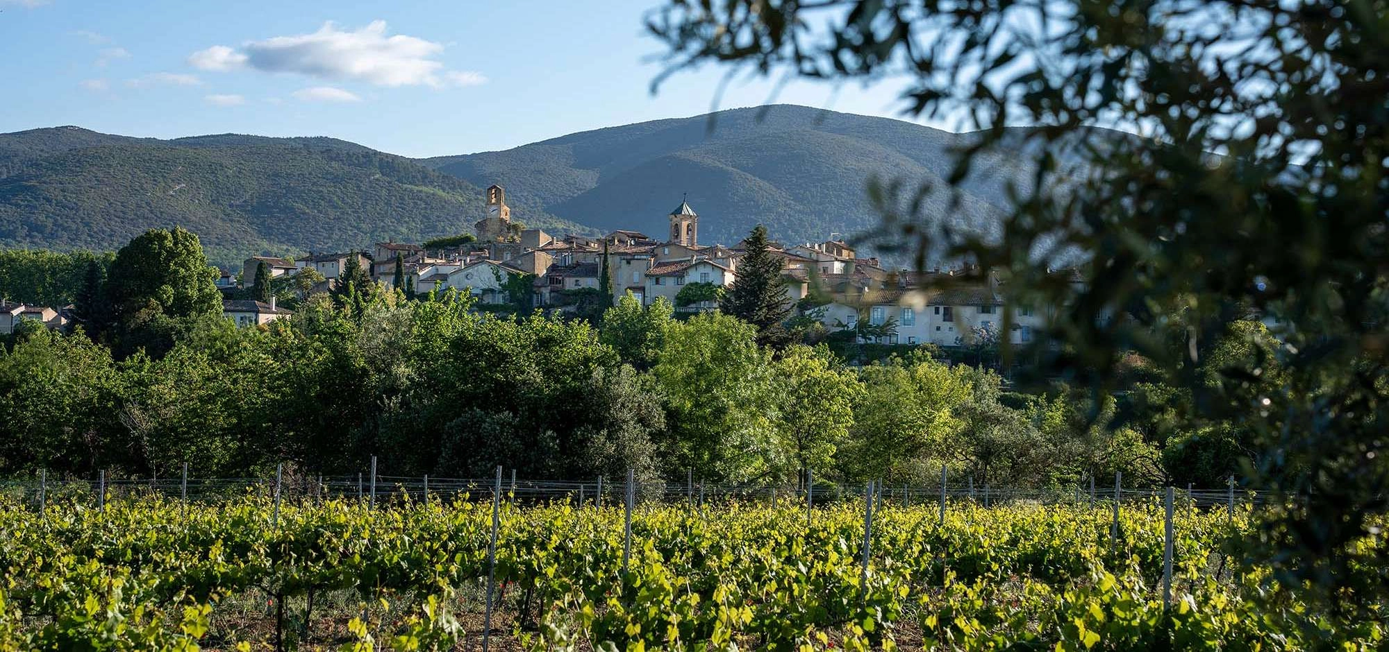 Vignobles & Découvertes - Vignoble du Luberon