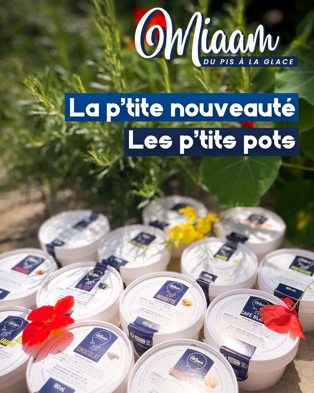 Nouvelle gamme de petits pots glacés artisanaux de Miaam à L'Isle-sur-la-Sorgue Petits pots glacés Miaam en vente à L'Isle-sur-la-Sorgue