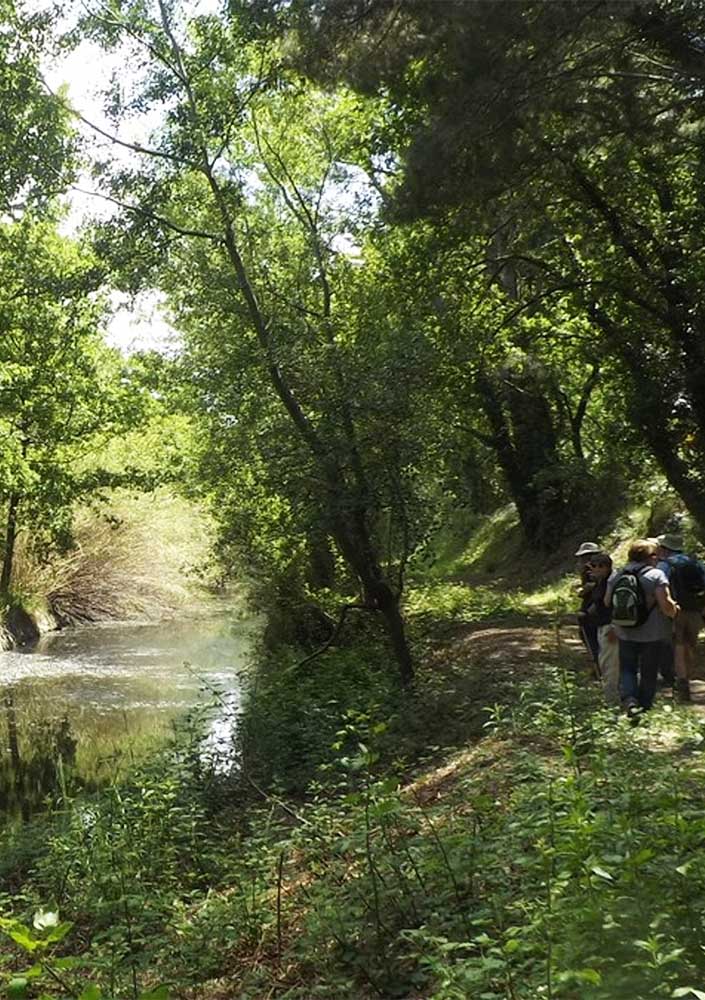 Marche en groupe dans la ripisylve le long du vieux canal à Mérindol