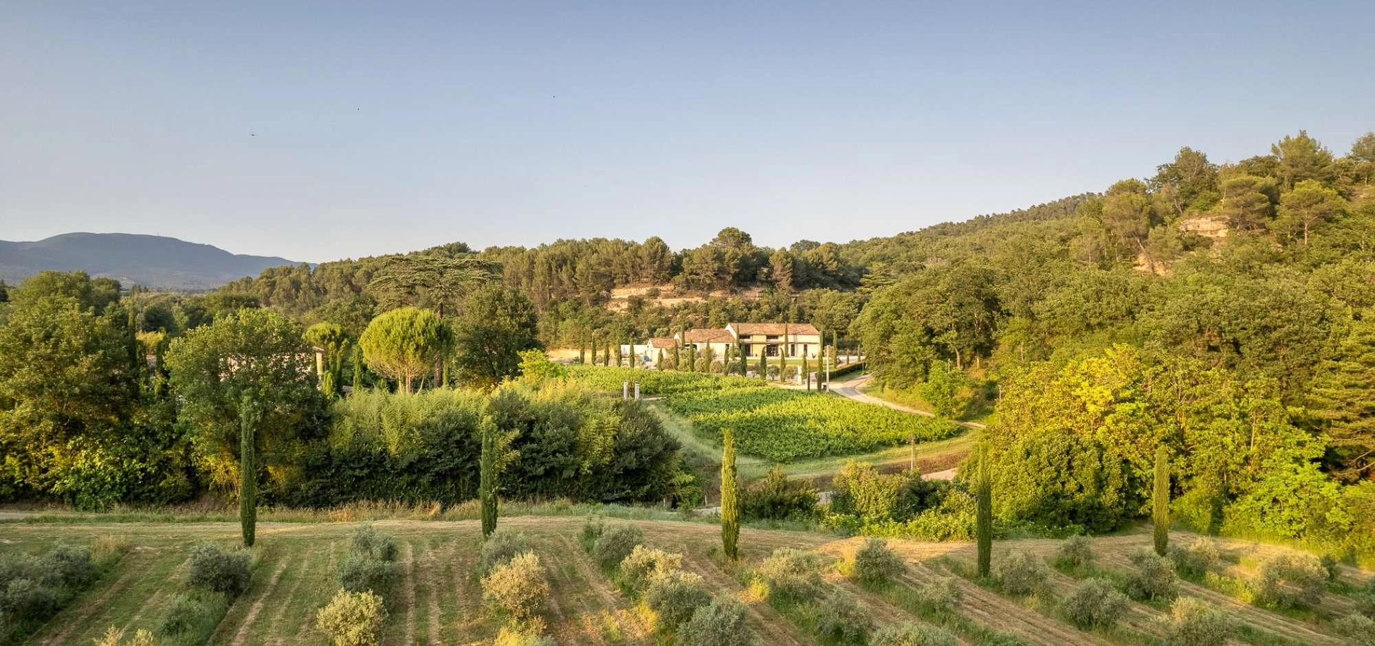 Pique-nique dans l'Oliveraie à La Bastide du Laval
