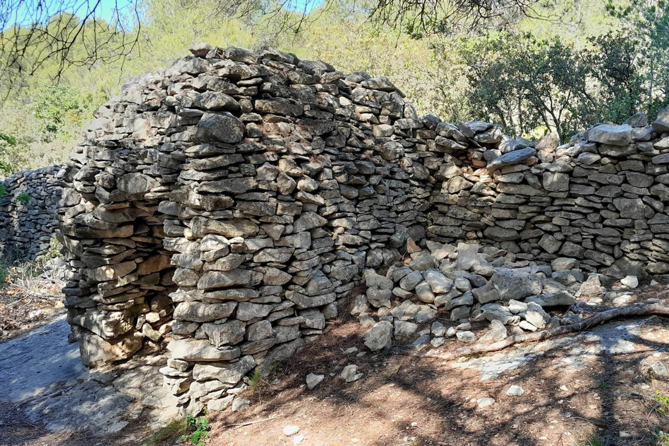 Vue sur la randonnée de la Cédraie au Mur de la Peste à Cabrières-d’Avignon dans le Luberon
