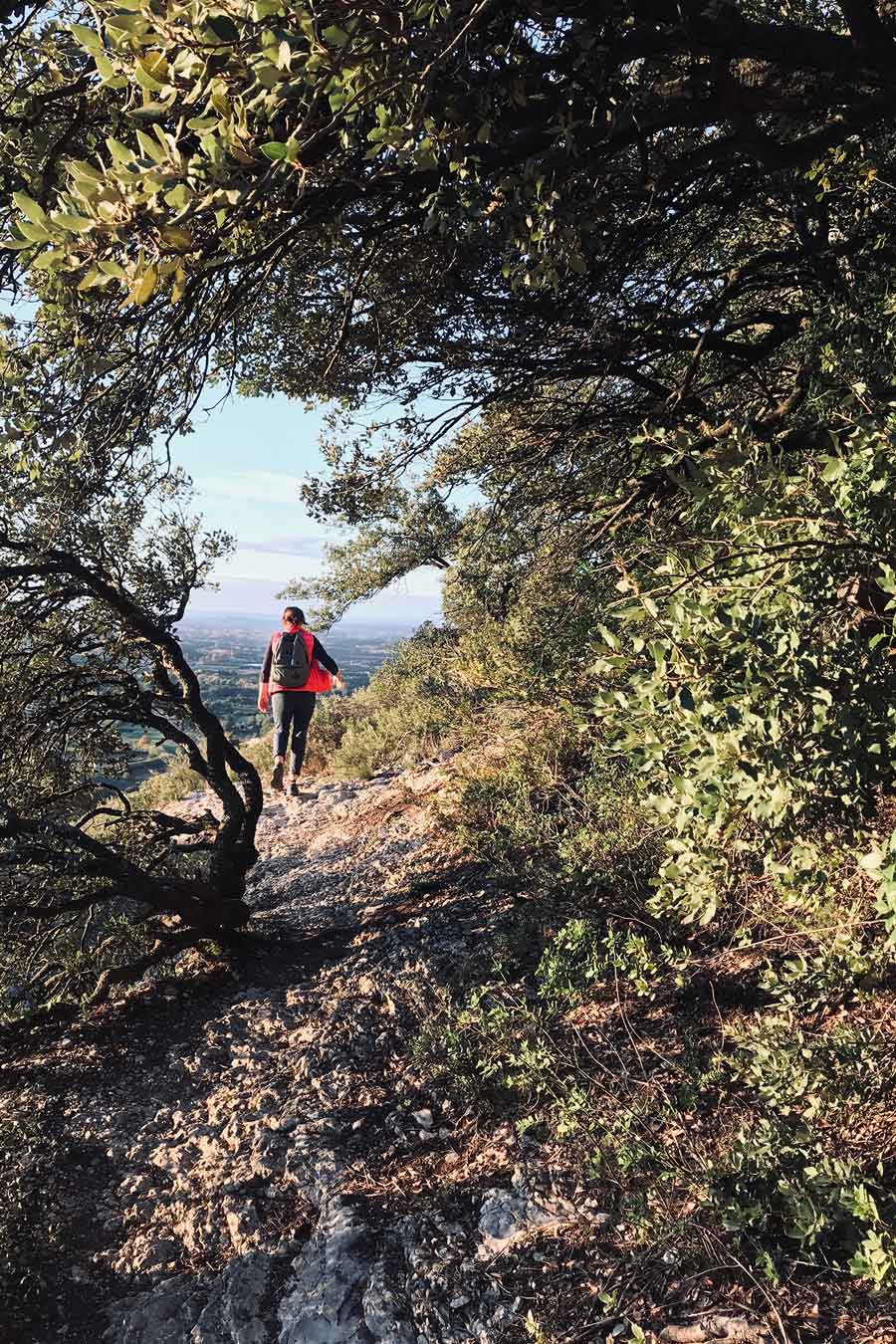 Panorama depuis les crêtes du Crâne de Colombier avec vue sur les Alpilles et le mont Ventoux