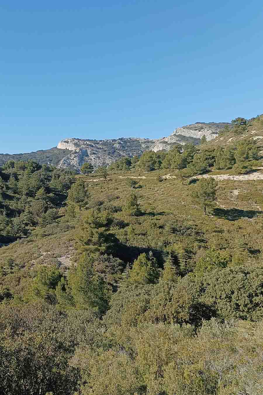 Paysages ouverts, garrigues et pelouses sèches sur les hauteurs des Mayorques dans le Petit Luberon