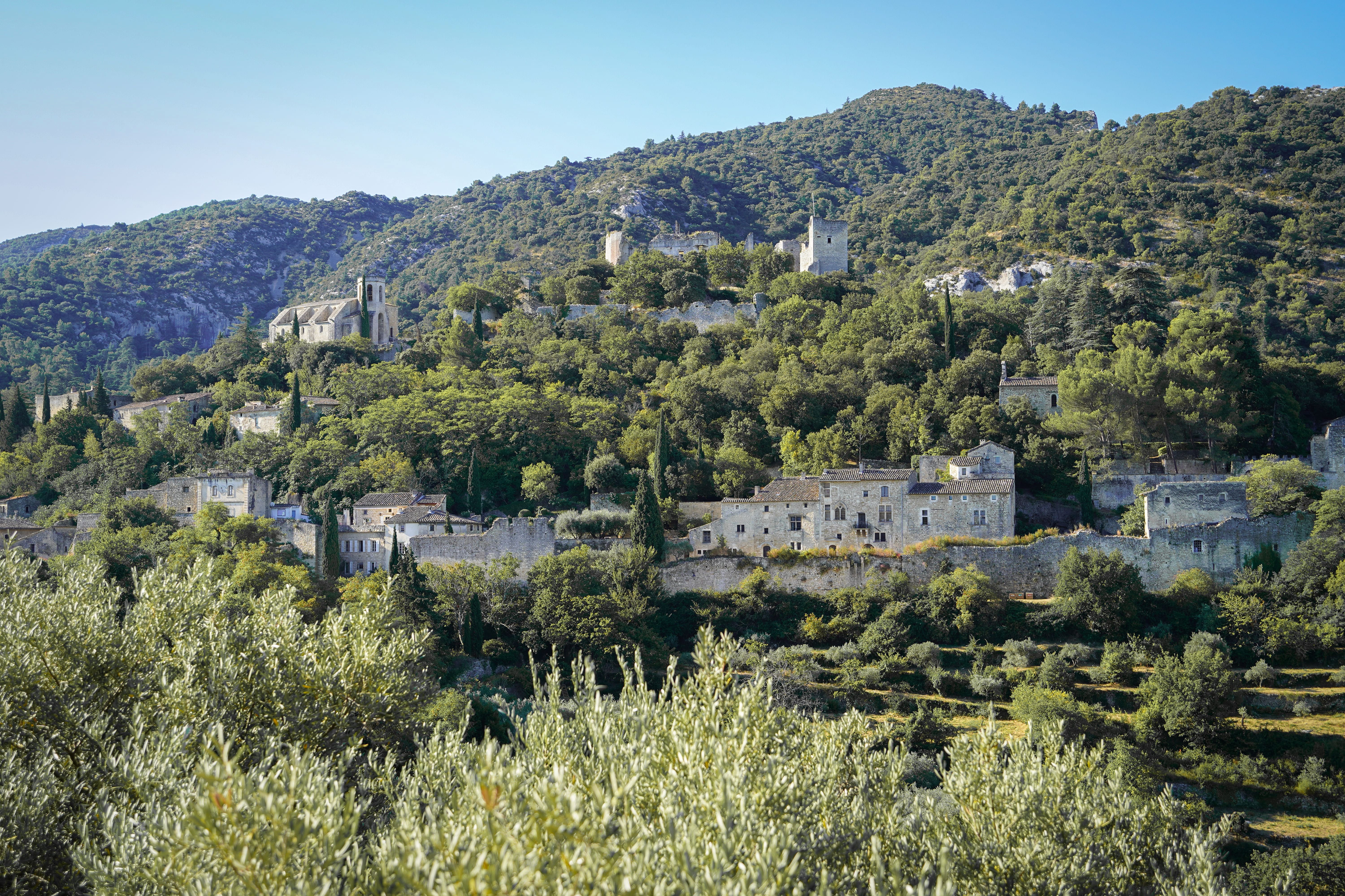 Vue panoramique sur Oppède-le-Vieux depuis l'Aire de Battage Sainte-Cécile dans le Luberon