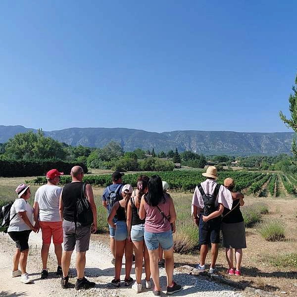 Nature & Fantaisie(s) - Balade œnologique en domaine viticole