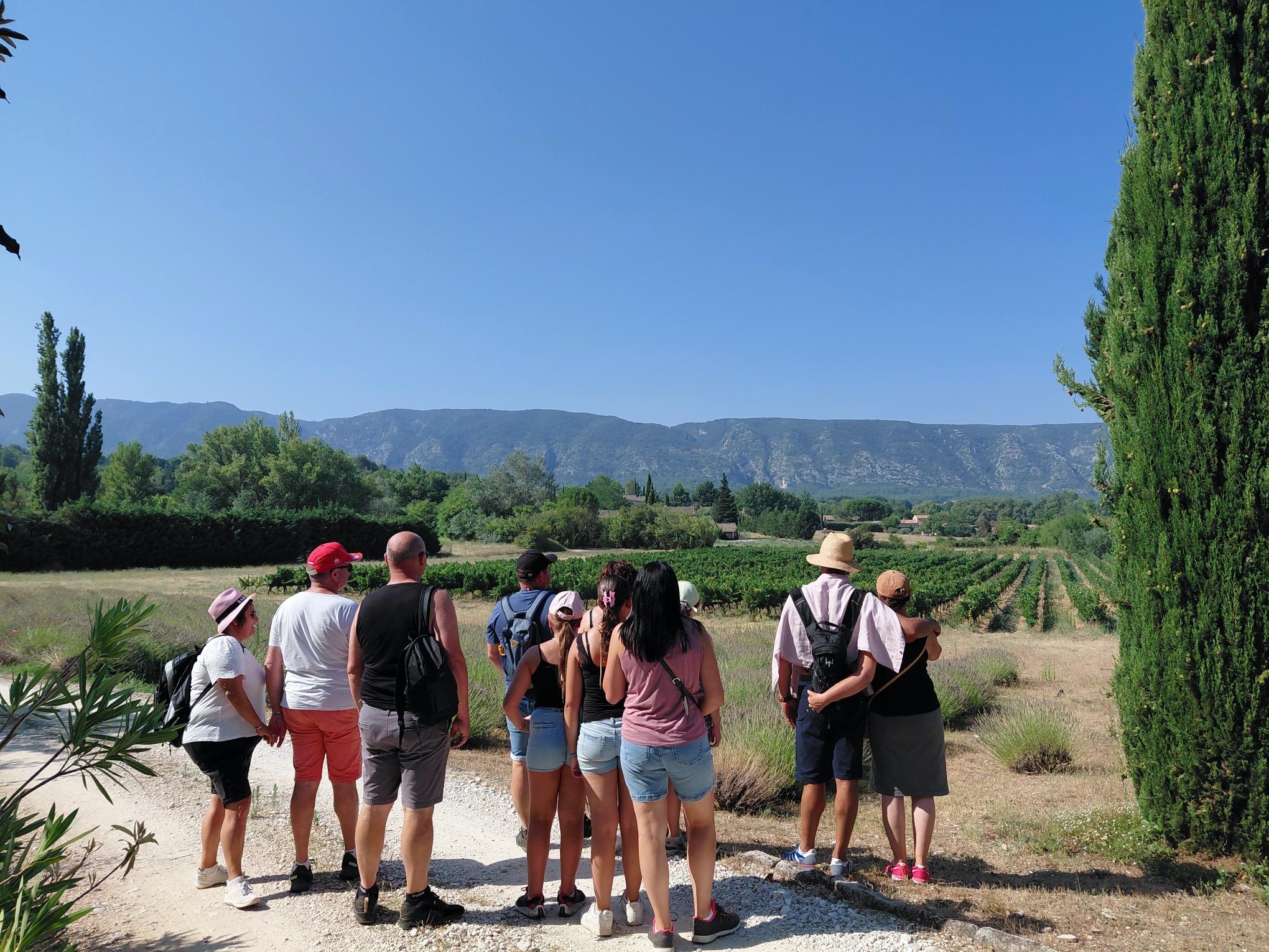 Balade œnologique au cœur des vignes du Luberon avec un groupe accompagné