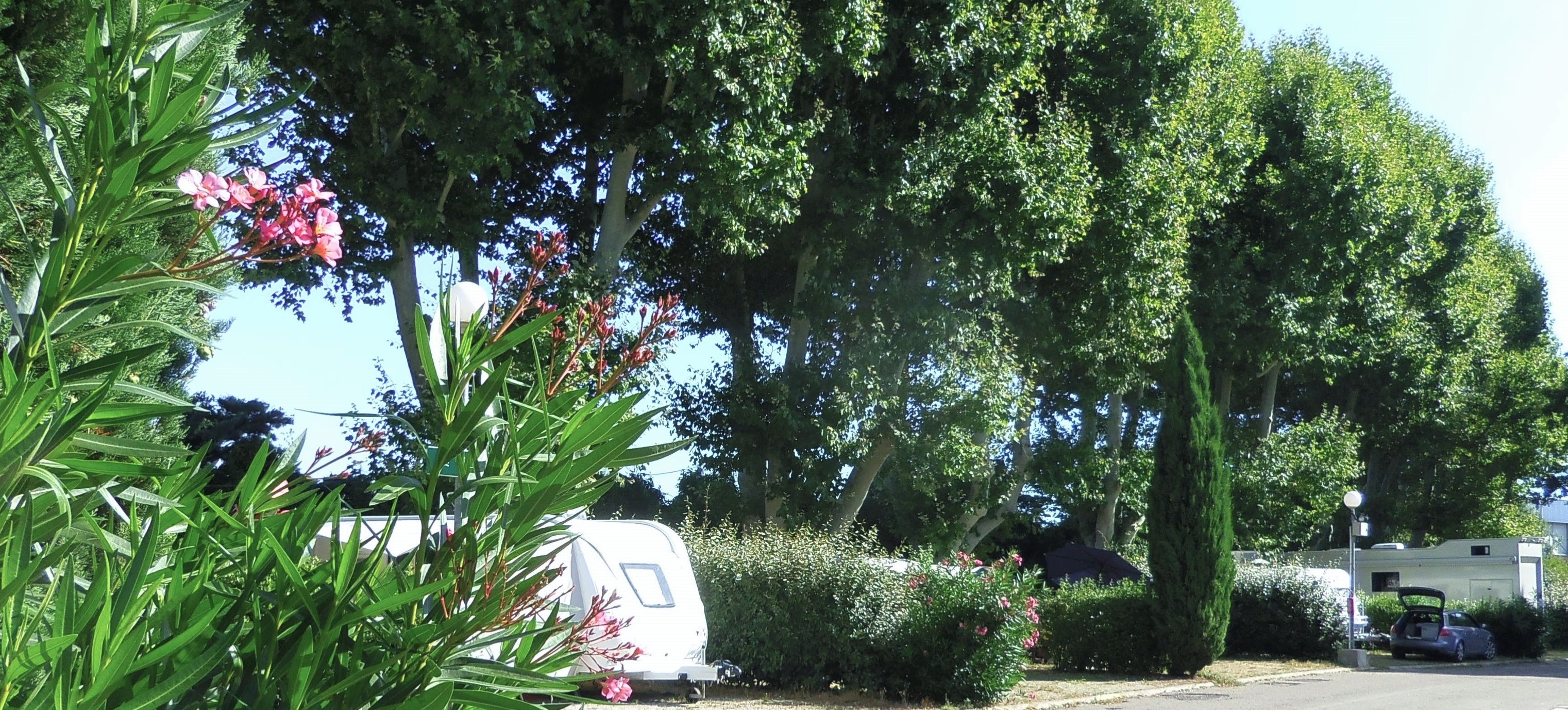 Emplacements ombragés pour caravanes au camping intercommunal de la Durance à Cavaillon