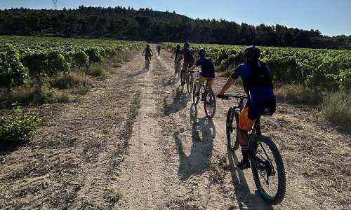 Unusual Ride Guide touristique à vélo à Aureille Vélos sur un chemin