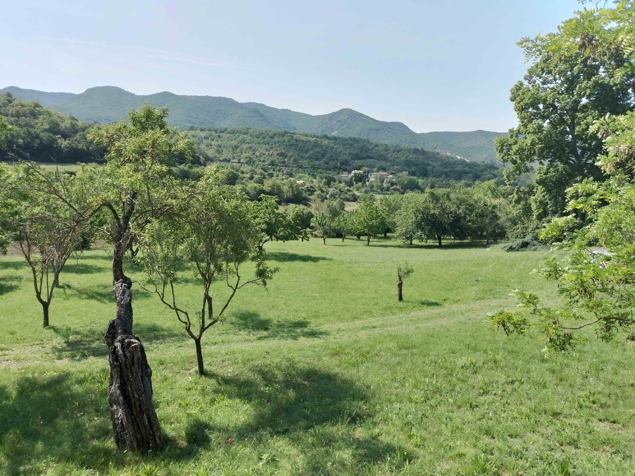 Paysage verdoyant du Luberon, cadre naturel pour balades et randonnées