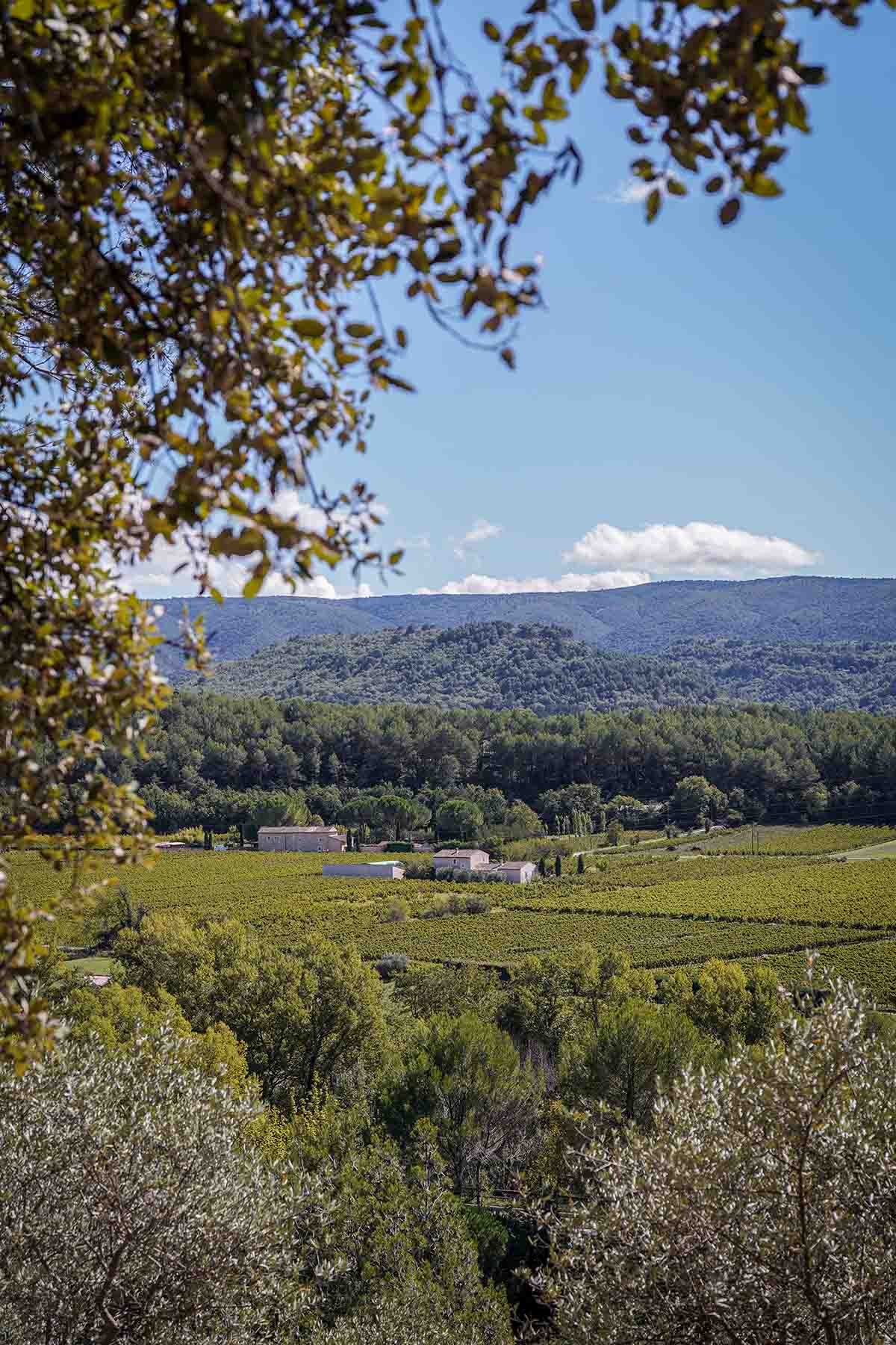 Paysage agricole et collines boisées autour des Beaumettes, au cœur du Luberon