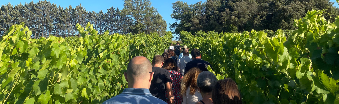 Dégustation de vins lors des Sunsets Vignerons Dégustation de vins et accords charcuterie fromage lors d'une soirée Sunsets Vignerons au Domaine Le Novi dans le Luberon