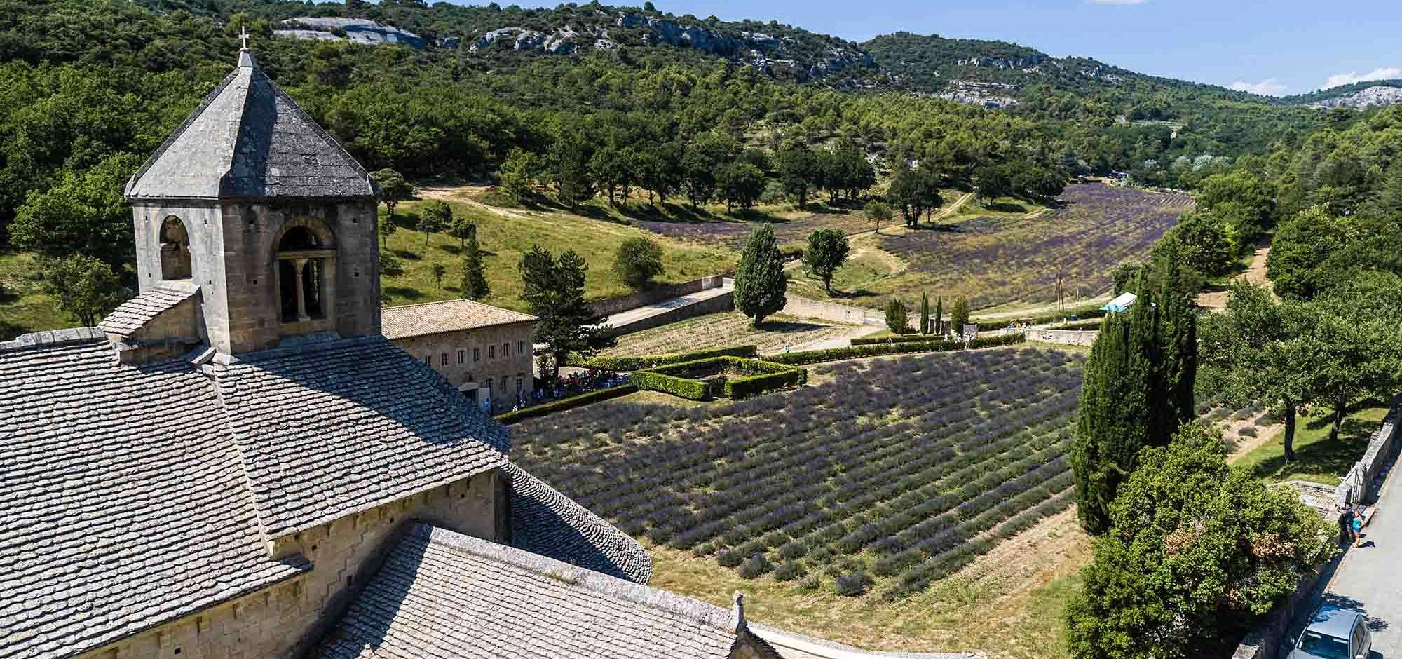 Découvrir l’abbaye de Sénanque pas à pas