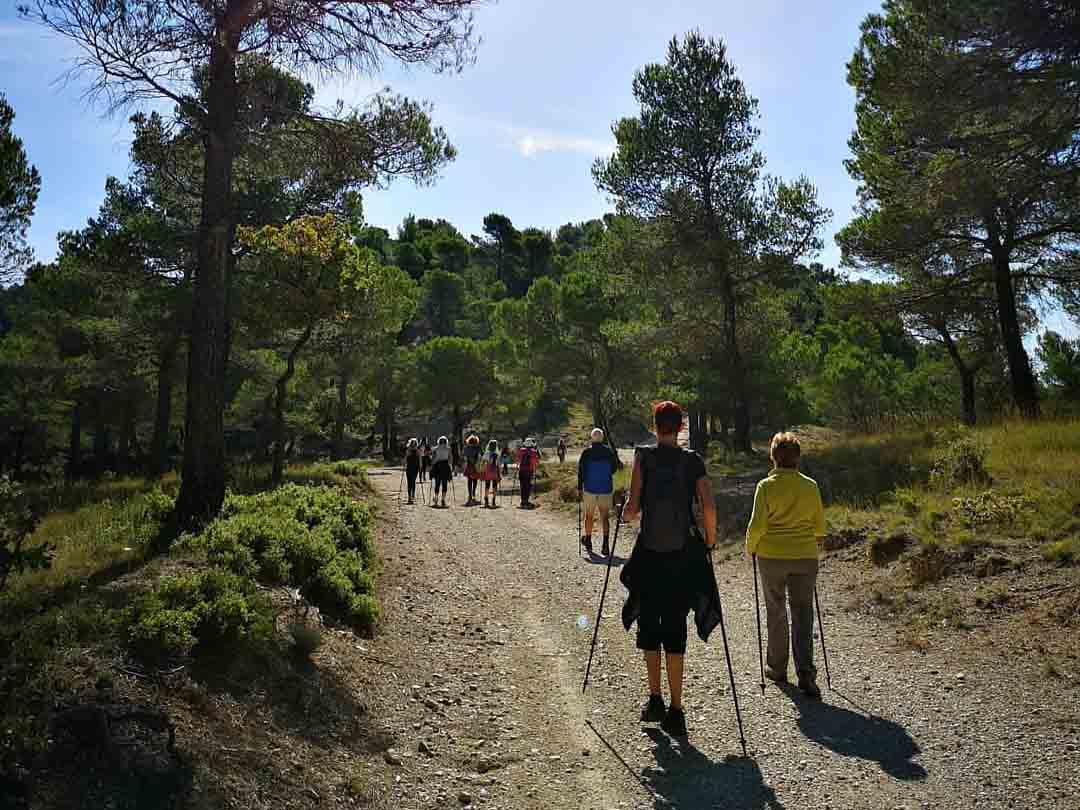 Sortie de marche nordique dans le Luberon Groupe de marche nordique sur un sentier forestier dans le Luberon