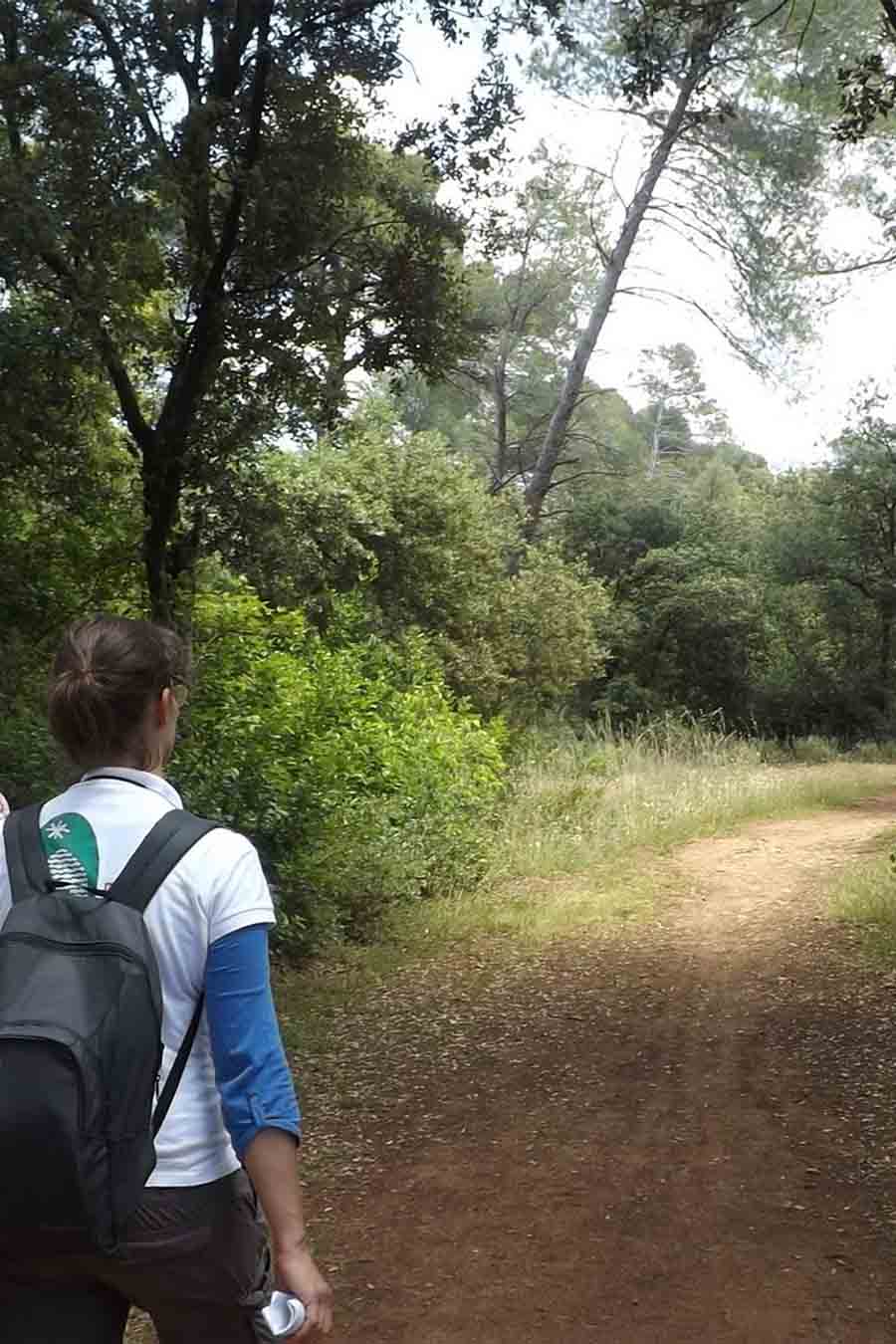 Sentier en sous-bois dans la garrigue à Mérindol Randonneur sur un sentier forestier dans la garrigue à Mérindol