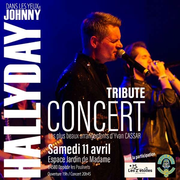 Dans les Yeux de Johnny - Concert Tribute
