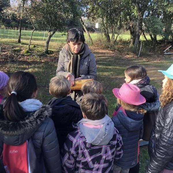 Visite à la ferme des Ruchers des Messeguières