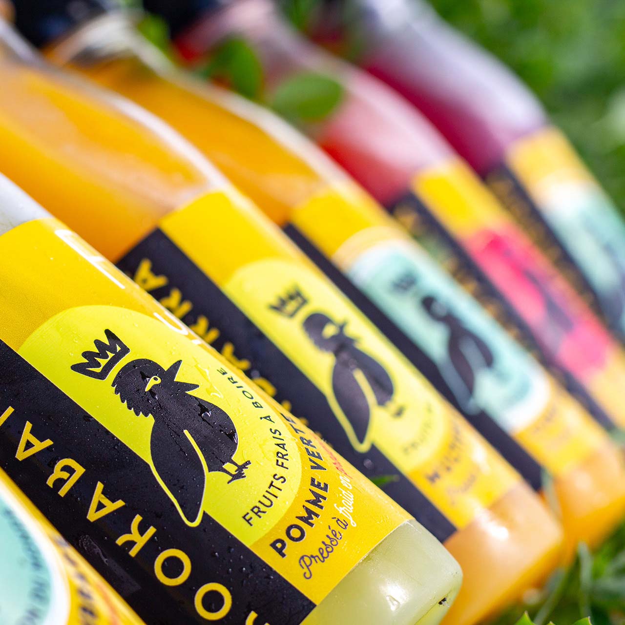 Bouteilles de jus de fruits frais Kookabarra aux différentes saveurs