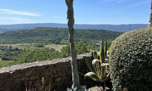 La terrasse des cactus