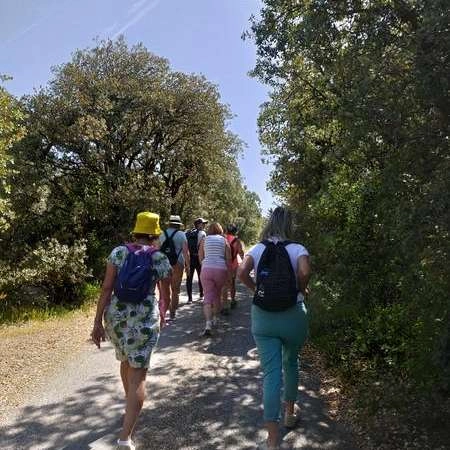 Balade à la forêt des cèdres