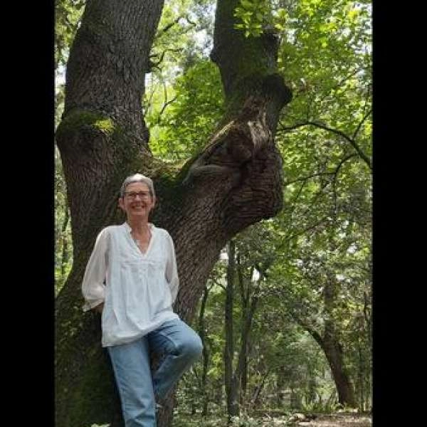 Sortie Shinrin Yoku ou Bain de Forêt