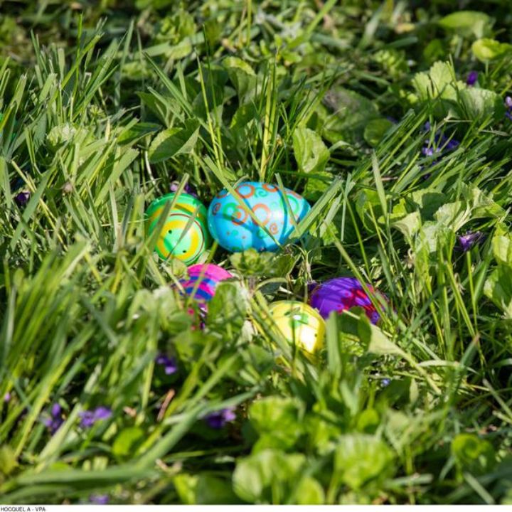Oeufs de pâques dans l'herbe