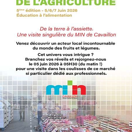 Visite insolite au MIN de Cavaillon