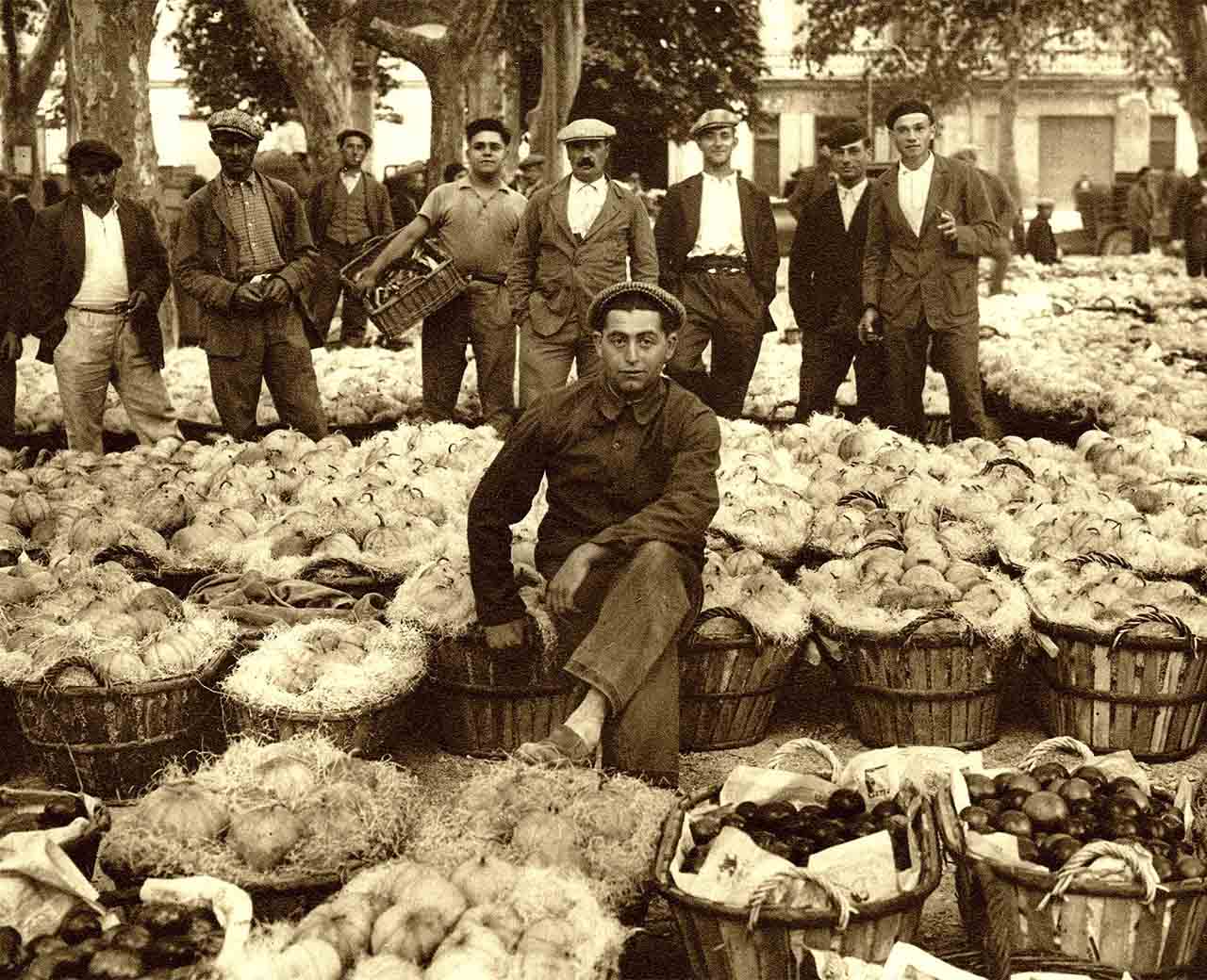 Photographie ancienne de maraîchers posant devant des paniers de légumes sur un marché, témoignage de l’histoire agricole de Cavaillon