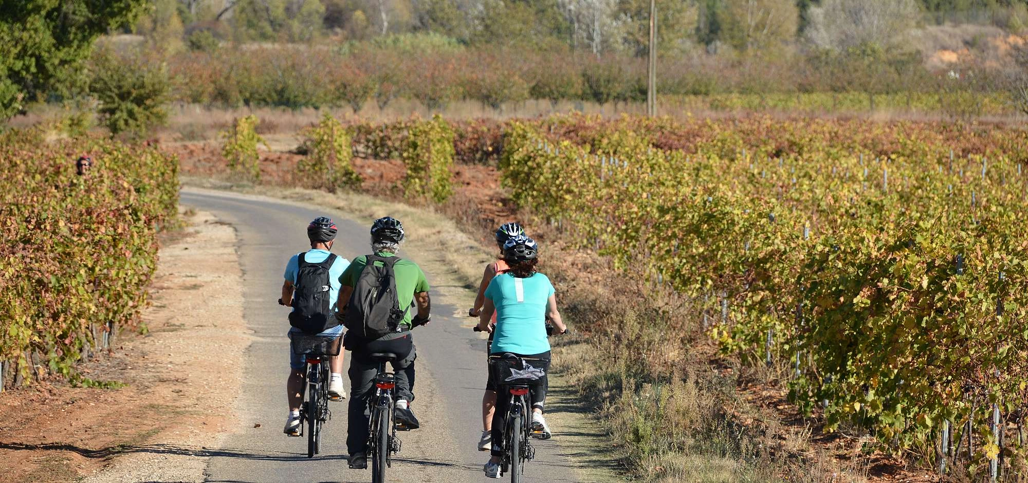 La Méditerranée à vélo en Luberon : Cavaillon - Apt