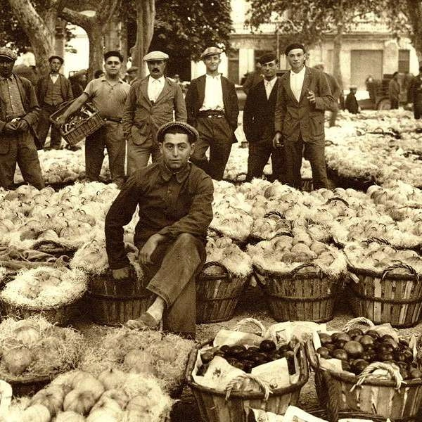 [AGRI]CULTURES : Murmure des champs, reflet de ville à Cavaillon