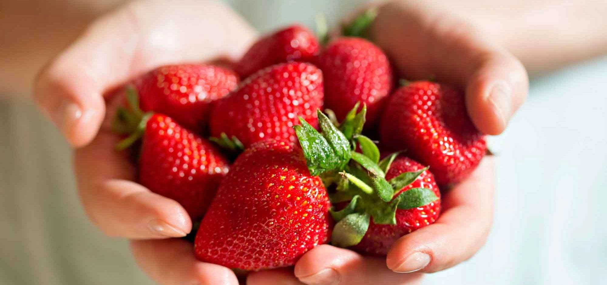 Délice printanier : la fraise sur le devant des étals !