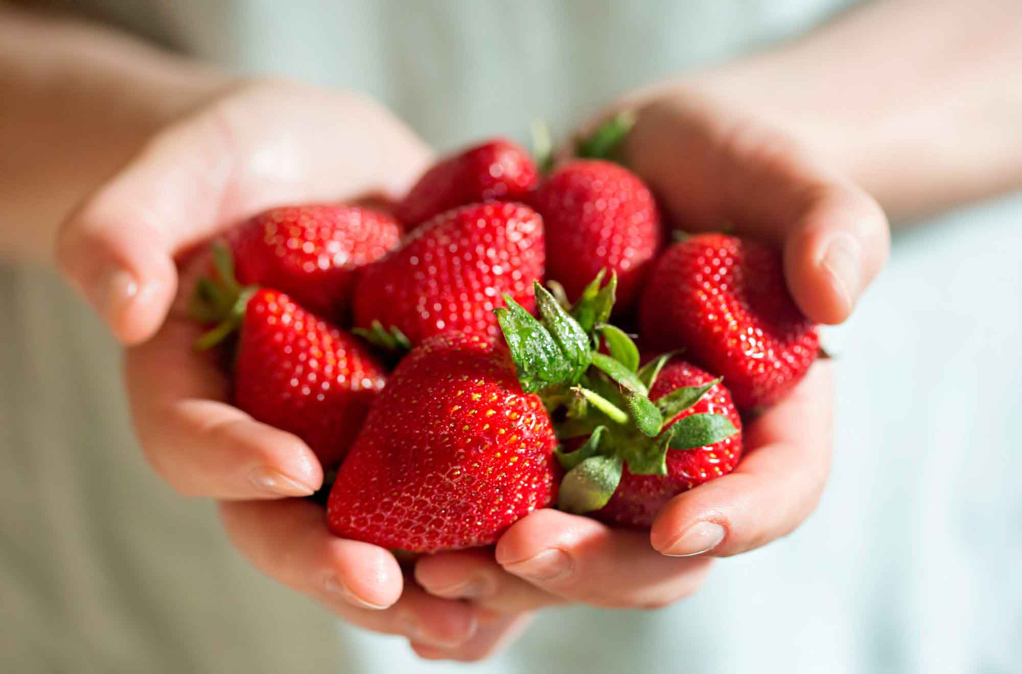 Délices printaniers : la fraise