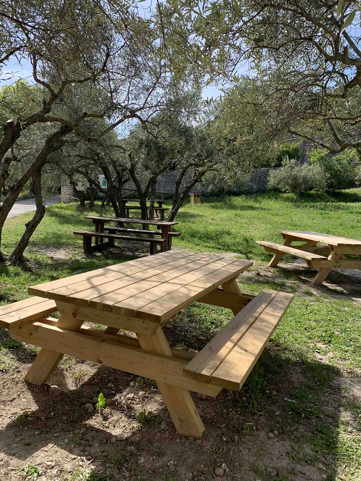 Une pause détente ombragée dans l'environnement préservé de Mérindol Deux grandes tables de pique-nique en bois, doubles, installées sur un sol en gravier délimité, à l'ombre de chênes verts dans l'Espace Naturel de la Garrigue.