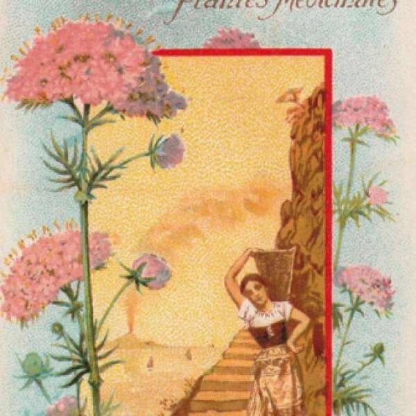 La Magie des plantes - Conférence