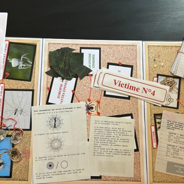 Cluedo des araignées à Cabrières-d’Avignon